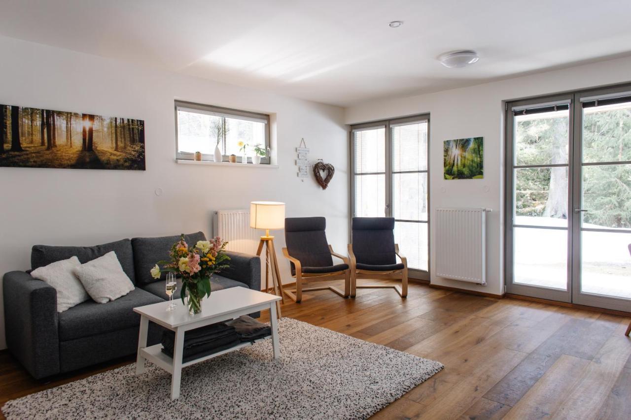 Apartman S Nadhernym Vyhledem V Centru Harrachova Exterior foto